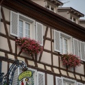 Eguisheim - 005